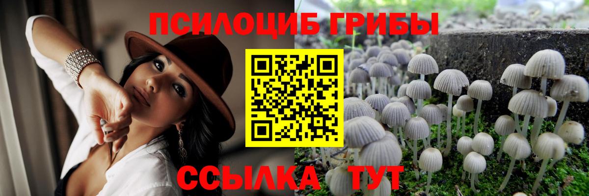 Калуга  Галлюциногенные грибы MAGIC MUSHROOMS  Вход с VPN 